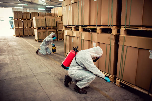 Best Affordable Pest Control Services  in New Square, NY