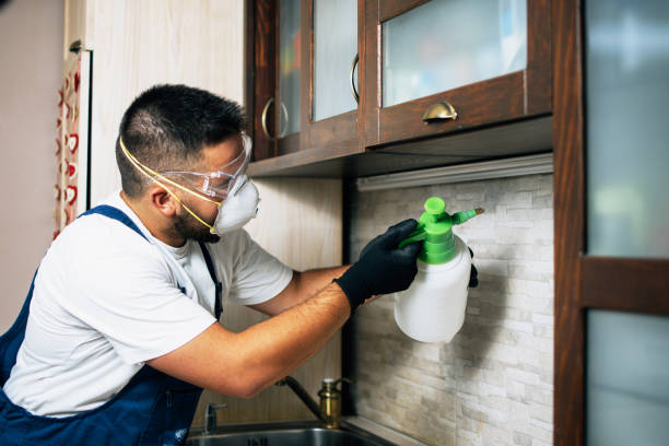 Best Wildlife Control Services  in New Square, NY