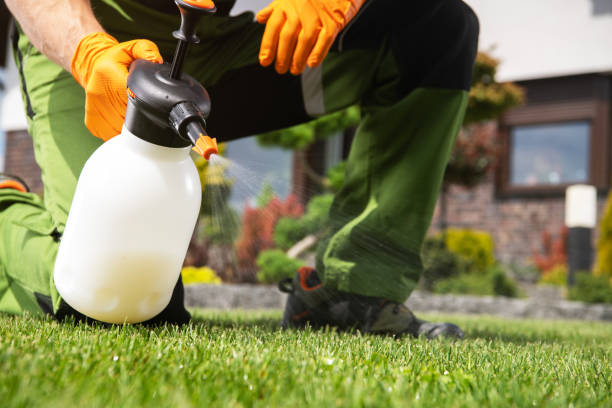 Best Exterminator Services  in New Square, NY