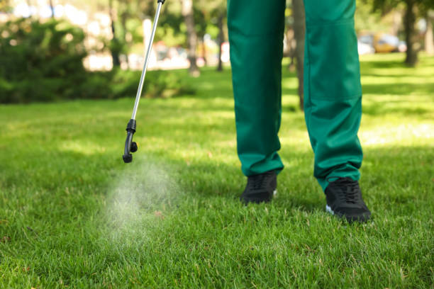 Best Emergency Pest Control  in New Square, NY